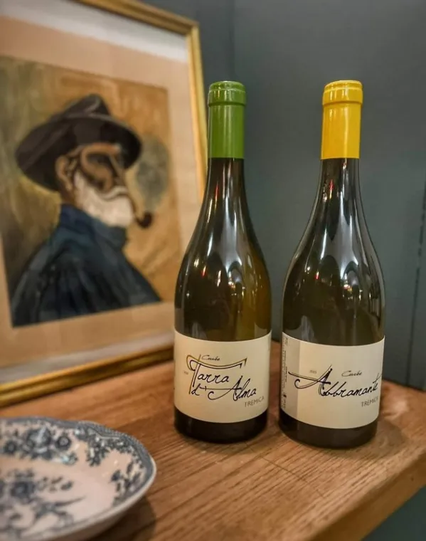 Déguster un vin adapté à un menu gastronomique corsé au restaurant, Ajaccio, Ô Vent d'Ange