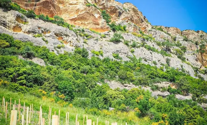 Les vins de patrimoine chez Ô Vent d'Ange à Ajaccio, Ajaccio, Ô Vent d'Ange